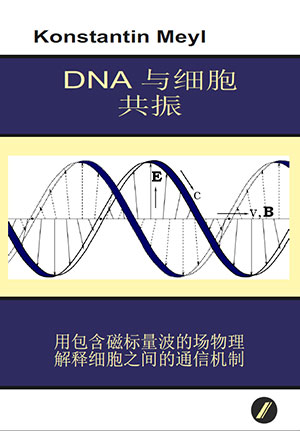 DNA 与细胞 共振 细节